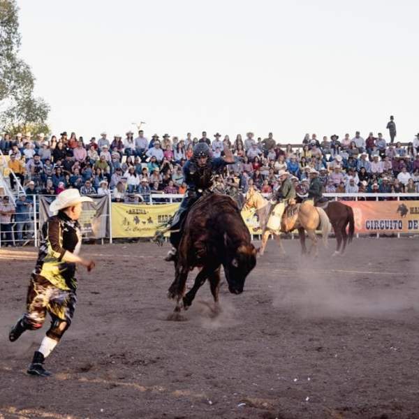 Un gran éxito la segunda fecha del Circuito de Rodeo Tour Sonora 2023 en Banámichi